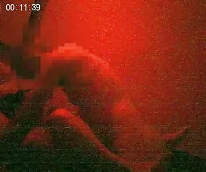 - کارمند قیمت های sex دوجنسه زن مختلف و رشوه های جنسی دریافت می کند