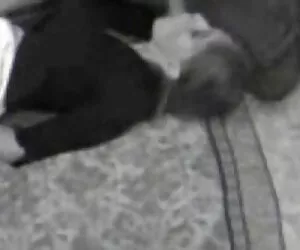 رانندگان جوجه سیاه دیک را می مکند سکس زنهای عربی