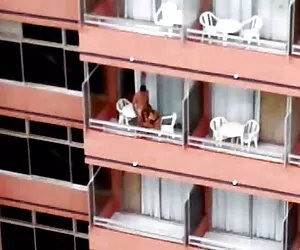 منو لعنت کن و سکس زن چاق سیاه به صورتم تقدیر کنم