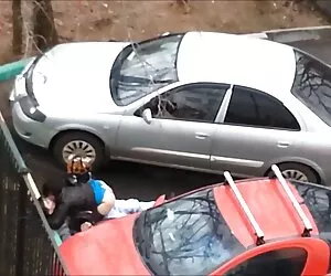 بهترین مجموعه سکس اسب با زنان تلفیقی که می بینید